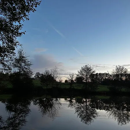 Les Saules Adriers